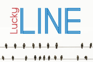 Lucky Line: A Modern Monogram Font with Timeless Charm